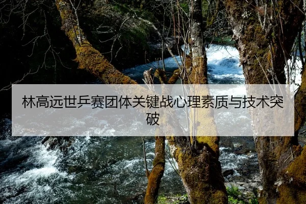 林高远世乒赛团体关键战心理素质与技术突破